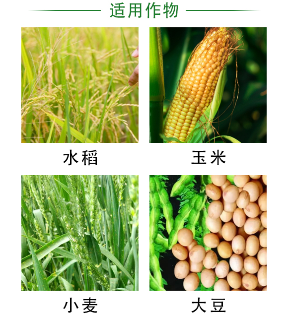 BSX-60T型比重篩選機(jī)-科邦農(nóng)業(yè)機(jī)械 BSX-60T型比重篩選機(jī)-科邦農(nóng)業(yè)機(jī)械