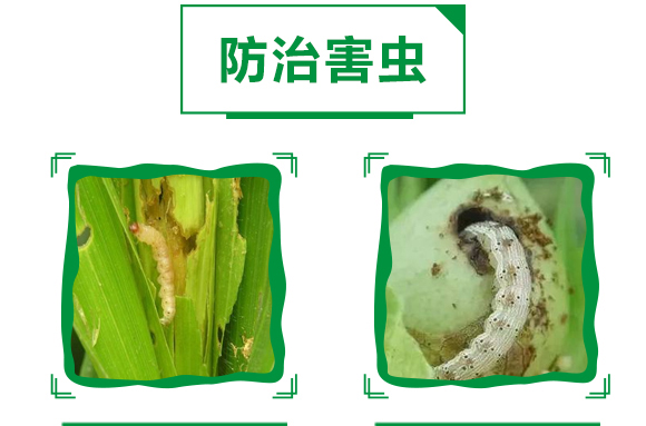 12%�׾S���x(ch��ng)����Ҹ���-����ȭ-嫪{�r(n��ng)�I(y��)