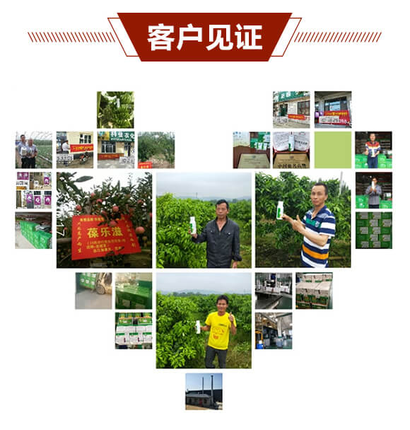 20%��˪��Ҹ���-����-��ֲ���A