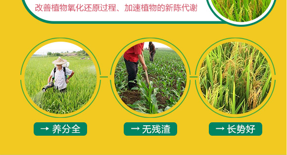 婕渤甯傚倕鐗屽啘涓氱鎶鏈夐檺鍏徃3_06.jpg 婕渤甯傚倕鐗屽啘涓氱鎶鏈夐檺鍏徃3_06.jpg