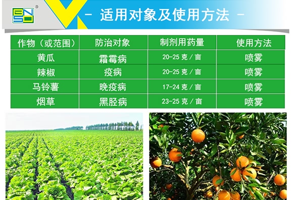 烯酰嗎啉-思達(dá)霜克-百農(nóng)思達(dá) 烯酰嗎啉-思達(dá)霜克-百農(nóng)思達(dá)