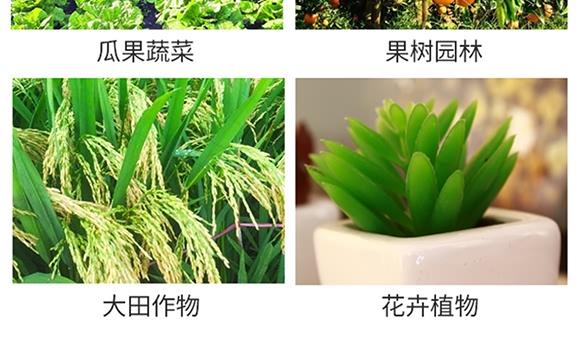 烯酰嗎啉-思達(dá)霜克-百農(nóng)思達(dá) 烯酰嗎啉-思達(dá)霜克-百農(nóng)思達(dá)