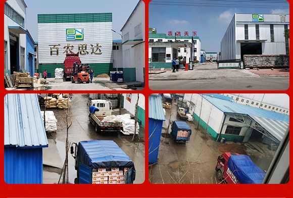 烯酰嗎啉-思達(dá)霜克-百農(nóng)思達(dá) 烯酰嗎啉-思達(dá)霜克-百農(nóng)思達(dá)