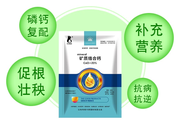 �V�|(zh��)�j(lu��)���}-���r(n��ng)�W��