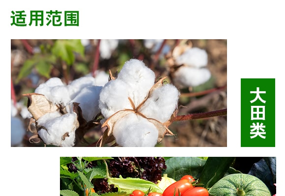 �V�|(zh��)�j(lu��)���}-���r(n��ng)�W��