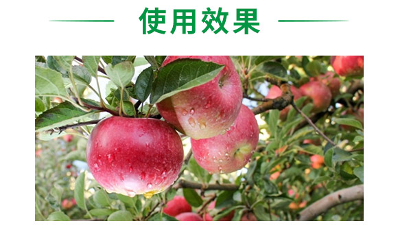 ���x��-혈��r(n��ng)�I(y��)