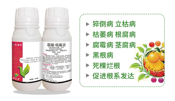 ˪ù����ù�`-����z-��ֲ���A