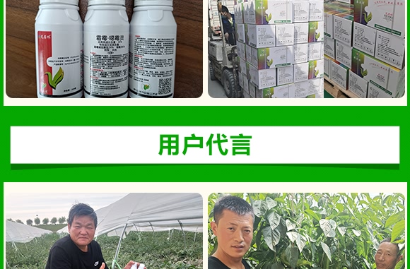 ˪ù����ù�`-����z-��ֲ���A