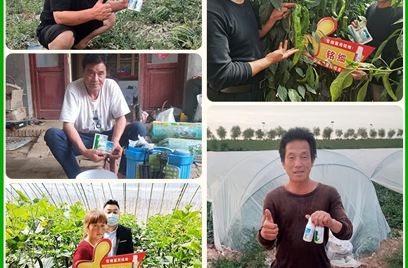 ˪ù����ù�`-����z-��ֲ���A