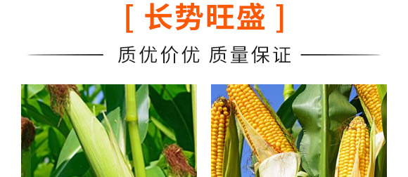 ���168-���׷N��-��ɷN�I(y��)