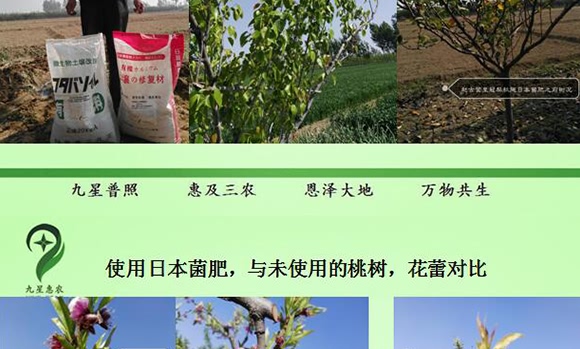 ΢��������������-���ǻ��r(n��ng)