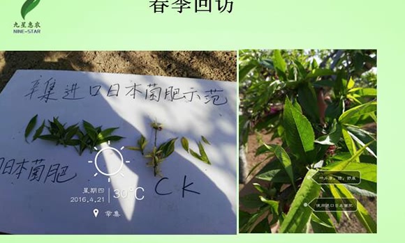 ΢��������������-���ǻ��r(n��ng)