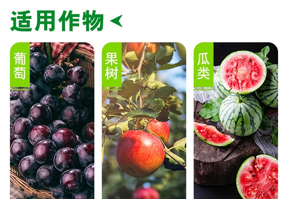 ��(f��)�Ϸ���15-6-26-������