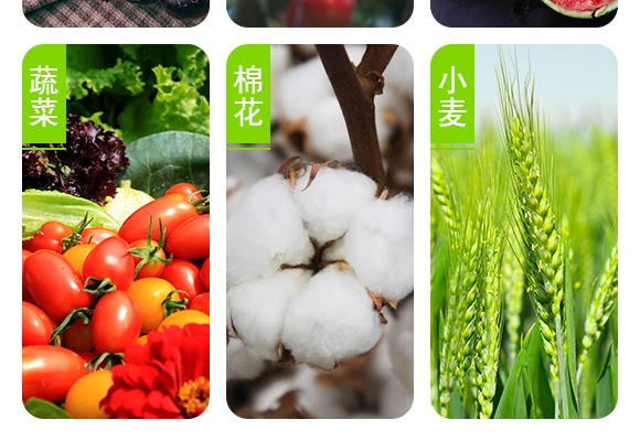 �����ϡ�������@�-������