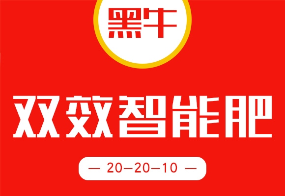 ��ţ-�pЧ���ܷ�20-20-10