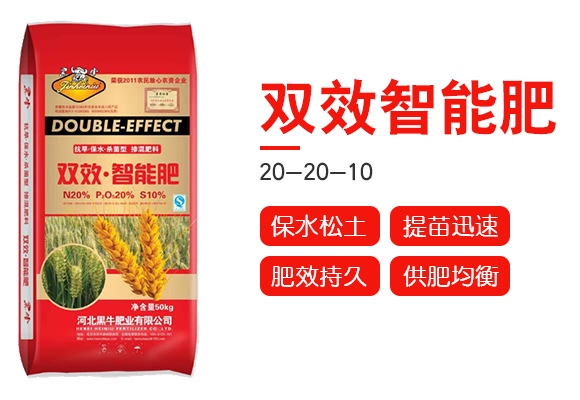 ��ţ-�pЧ���ܷ�20-20-10