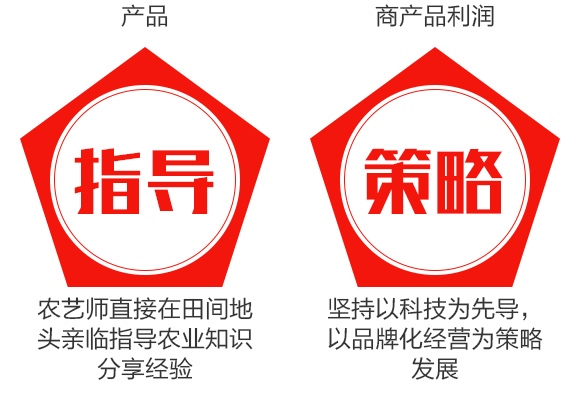 ��ţ-�pЧ���ܷ�20-20-10