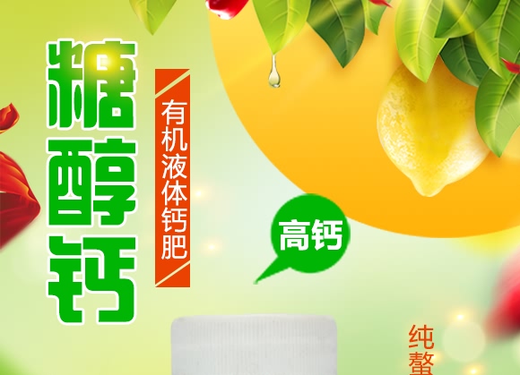 ����-�Ǵ��}