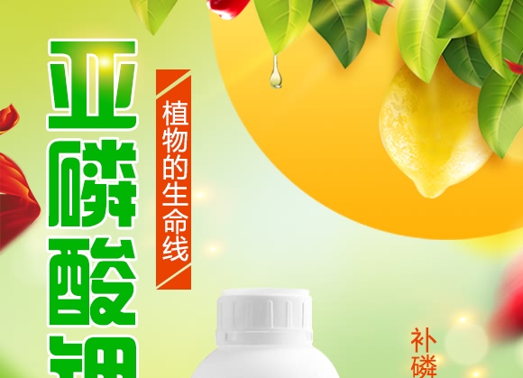 �������50-550-500+TE-���-����