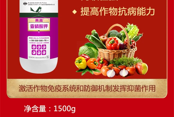 �������50-550-500+TE-���-����