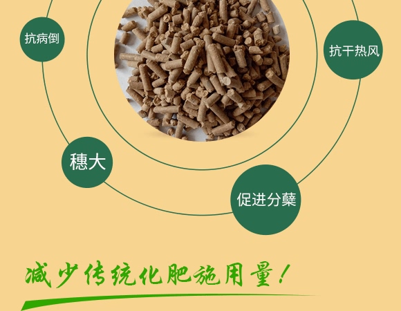 ��ǵ��נI(y��ng)�B(y��ng)Һ-ţ����-���Wɭ