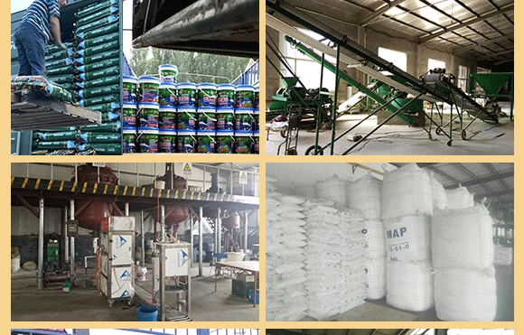 ��ǵ��נI(y��ng)�B(y��ng)Һ-ţ����-���Wɭ