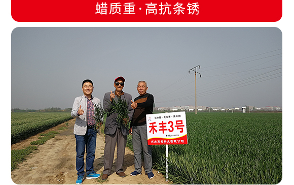 ���S3̖-С���N��-�̶��N�I(y��)