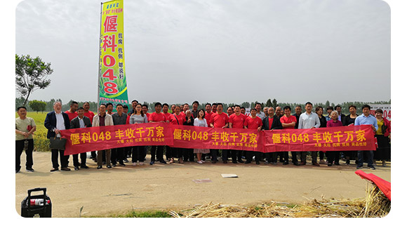 �ȿ�048-С���N-�̶��N�I(y��)