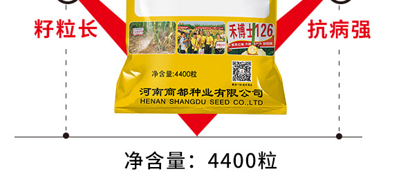 �̲�ʿ126-���׷N��-�̶��N�I(y��)