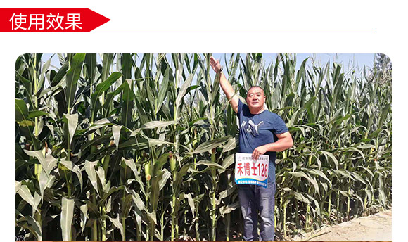 �̲�ʿ126-���׷N��-�̶��N�I(y��)