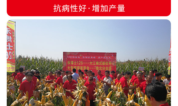 �̲�ʿ126-���׷N��-�̶��N�I(y��)