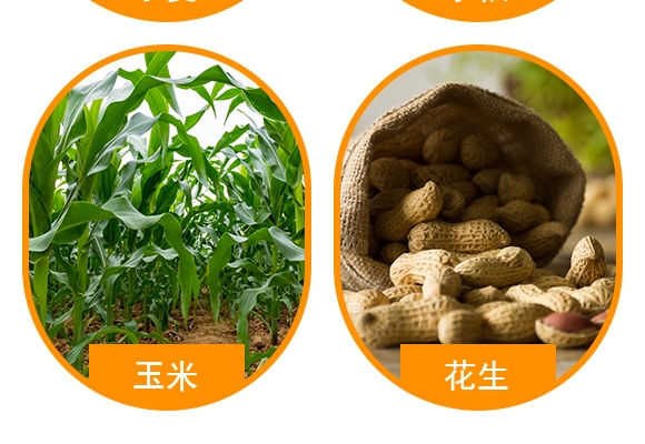 500g�VԴ�S�����-���_��