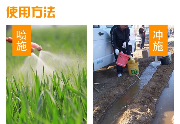 500g�VԴ�S�����-���_��