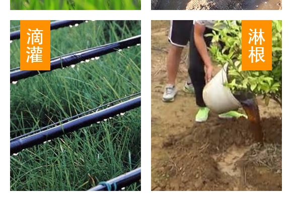 500g�VԴ�S�����-���_��