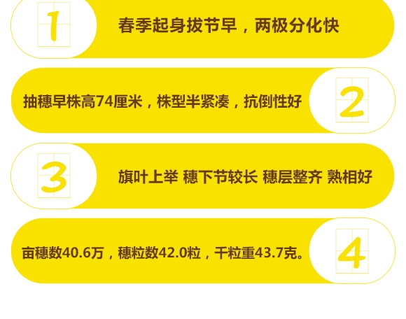 鄭品麥27號-小麥種子-邦邦種業(yè) 鄭品麥27號-小麥種子-邦邦種業(yè)