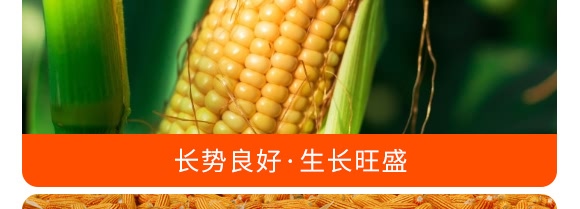 �������28-10-12���Gɫ��-���S