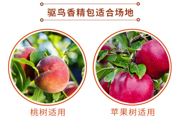 �(q��)�B�㾫��-�B��-���S����