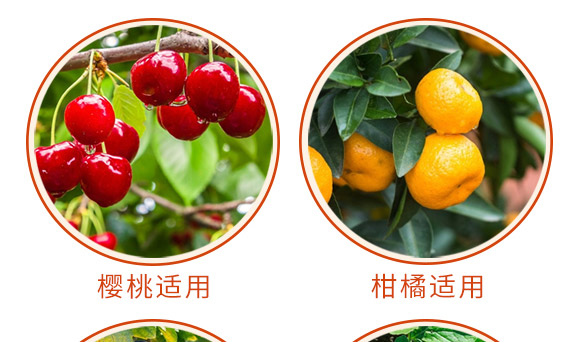 �(q��)�B�㾫��-�B��-���S����