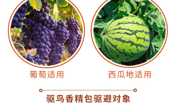 �(q��)�B�㾫��-�B��-���S����