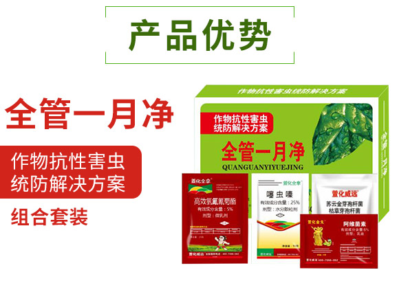 ȫ��һ��-�滯���h