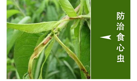 ȫ��һ��-�滯���h