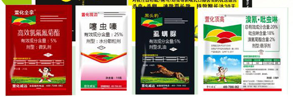 �滯���e-�滯���h