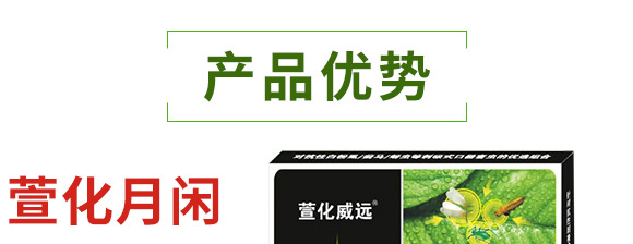 �滯���e-�滯���h