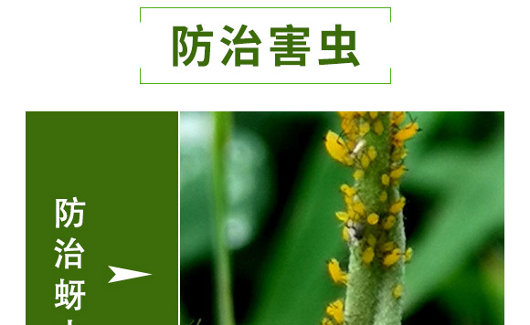 �滯���e-�滯���h