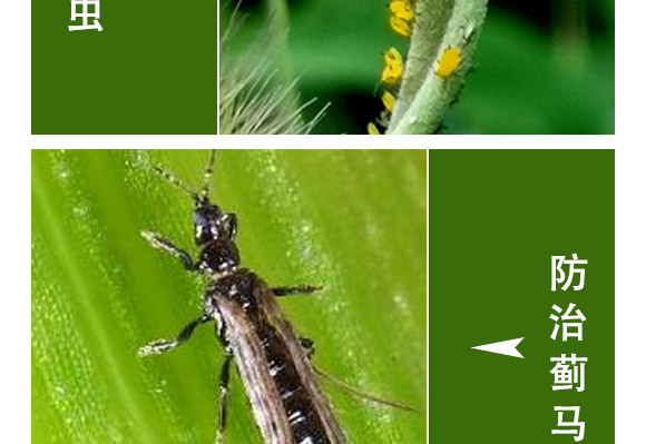 �滯���e-�滯���h