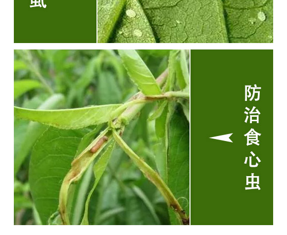 �滯���e-�滯���h