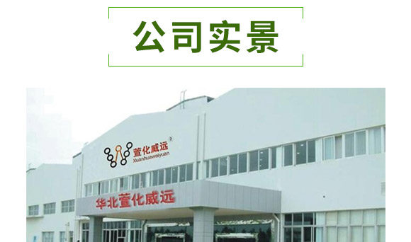 �滯���e-�滯���h