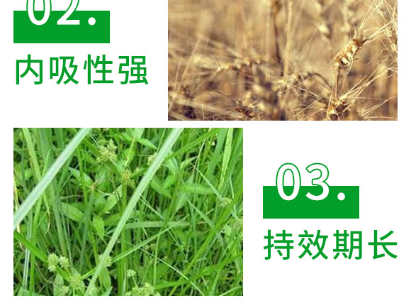 �S�ס�������-��ȭ-�L�p�r(n��ng)ˎ