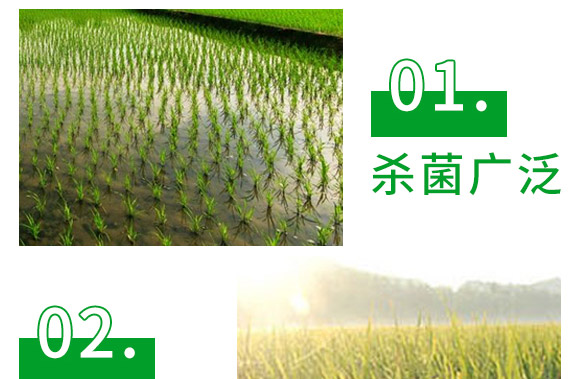 3%��˪���fù�`ˮ��-�o��-�L�p�r(n��ng)ˎ