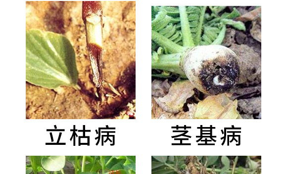 30%���ס��fù�`ˮ��-�L�p����-�L�p�r(n��ng)ˎ